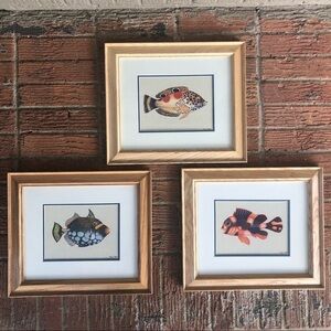Set of 3 Vintage Maggie Riegler Framed Tropical Fish Prints